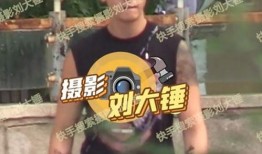 刘大锤八点爆料视频在线观看,揭秘幕后真相，精彩内容抢先看