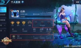 王者最新爆料游戏是什么,揭秘最新爆料游戏背后的神秘面纱